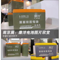 儲(chǔ)能電池 電動(dòng)助力車蓄電池的市場分析與應(yīng)用前景